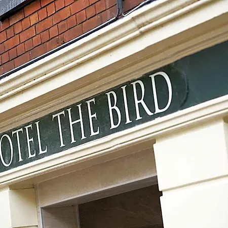 Hotel The Bird Amsterdam