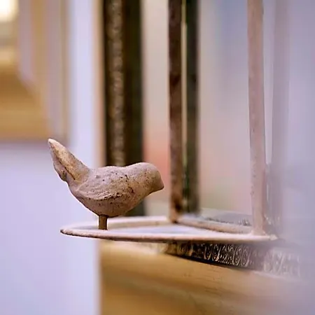 The Bird