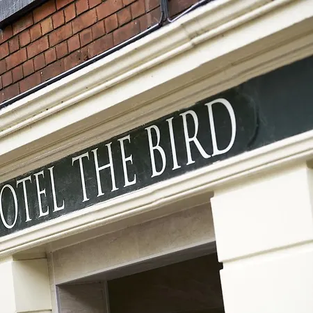 The Bird Amsterdam