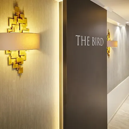 Ξενοδοχείο The Bird 3*