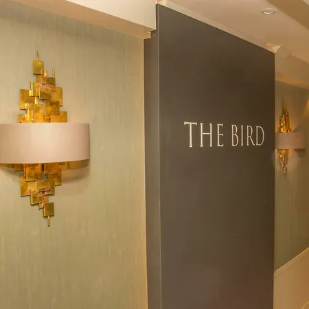 The Bird 3* Άμστερνταμ