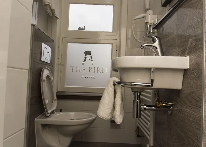The Bird אמסטרדם