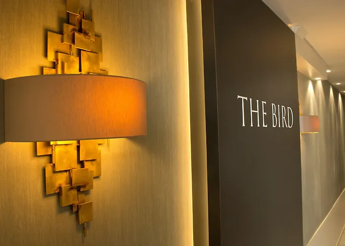מלון The Bird