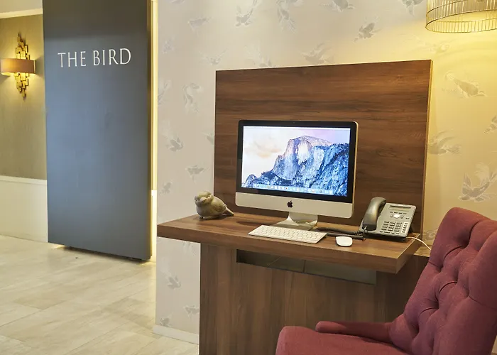 The Bird מלון אמסטרדם