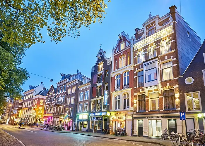 The Bird אמסטרדם