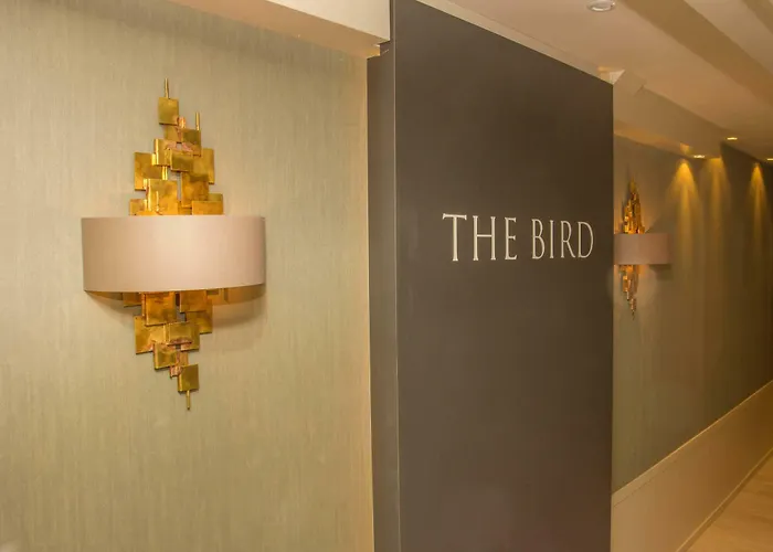 The Bird 3* אמסטרדם